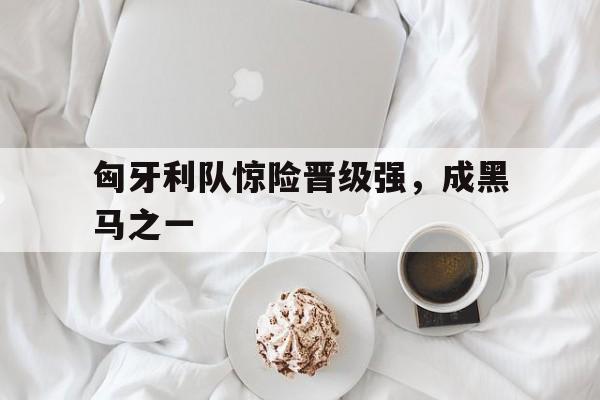匈牙利队惊险晋级强，成黑马之一
