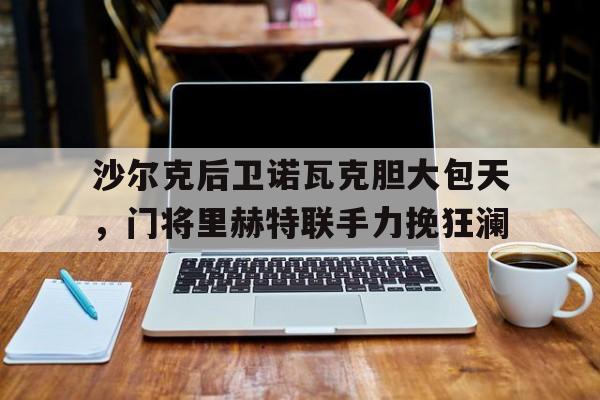 沙尔克后卫诺瓦克胆大包天，门将里赫特联手力挽狂澜